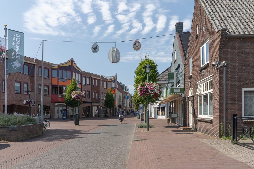 Foto 46 van Lobeliastraat 31