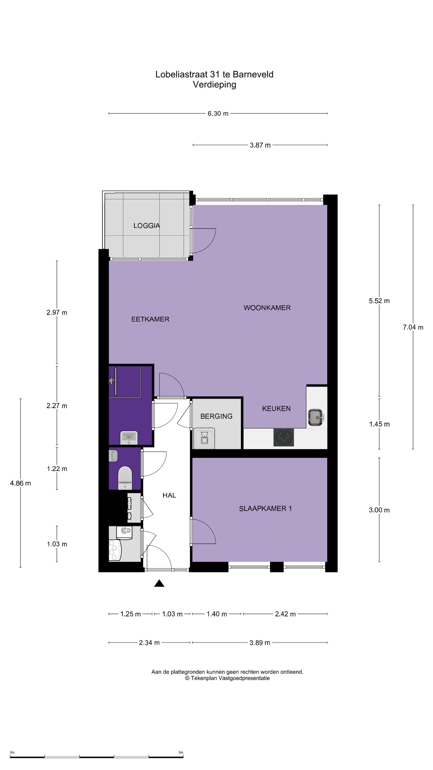 Foto 50 van Lobeliastraat 31