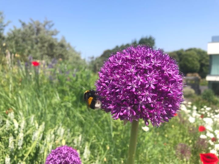 Foto 58 van Santhorsthof 54