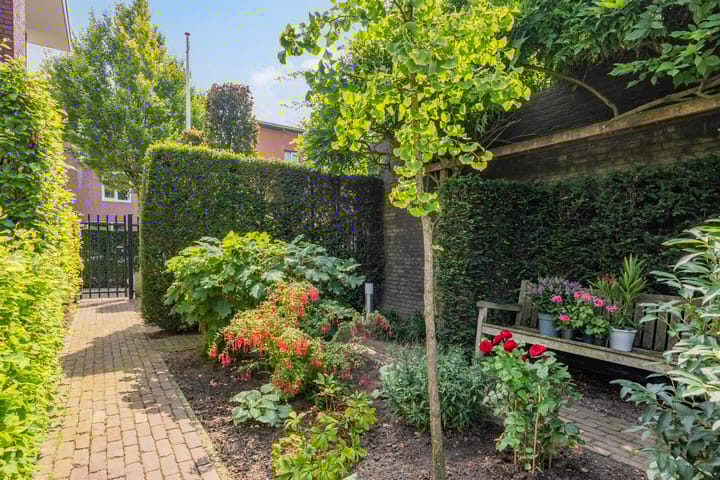 Foto 61 van Vleutloop 11