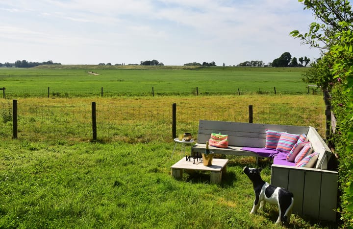 Photo 4 of Waverdijk 12