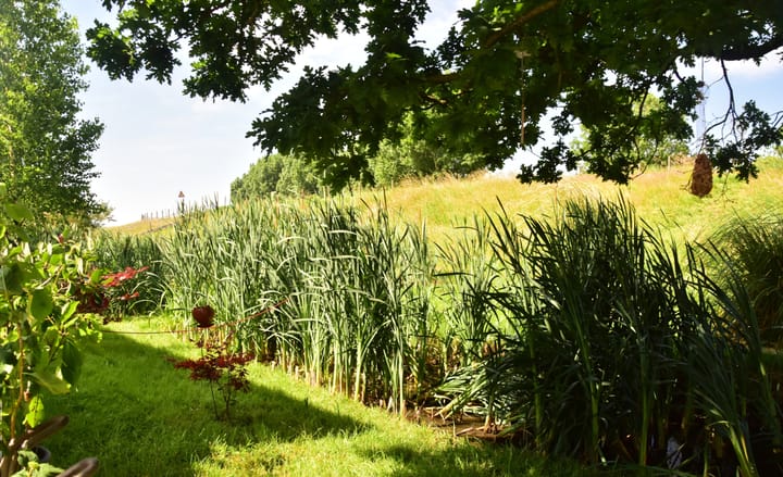 Photo 53 of Waverdijk 12