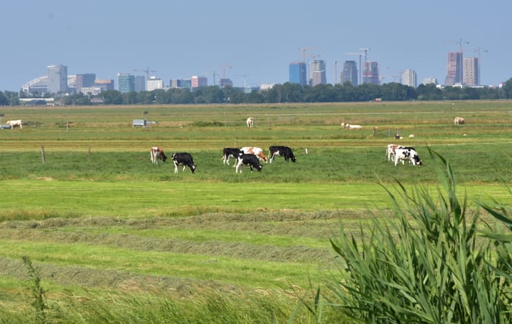 Photo 56 of Waverdijk 12