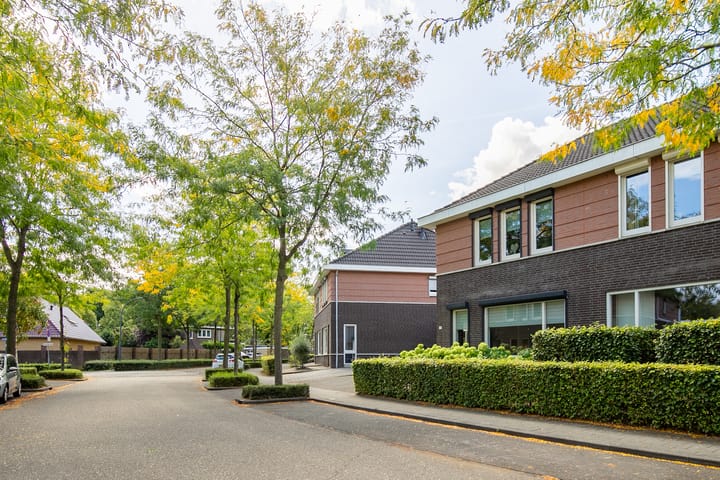 Foto 29 van Laan van Westfalen 78