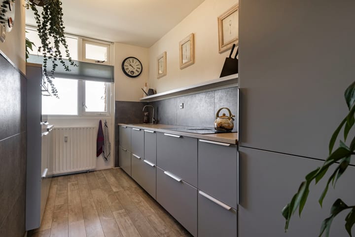 Foto 3 van Prins Willem-Alexanderpark 581