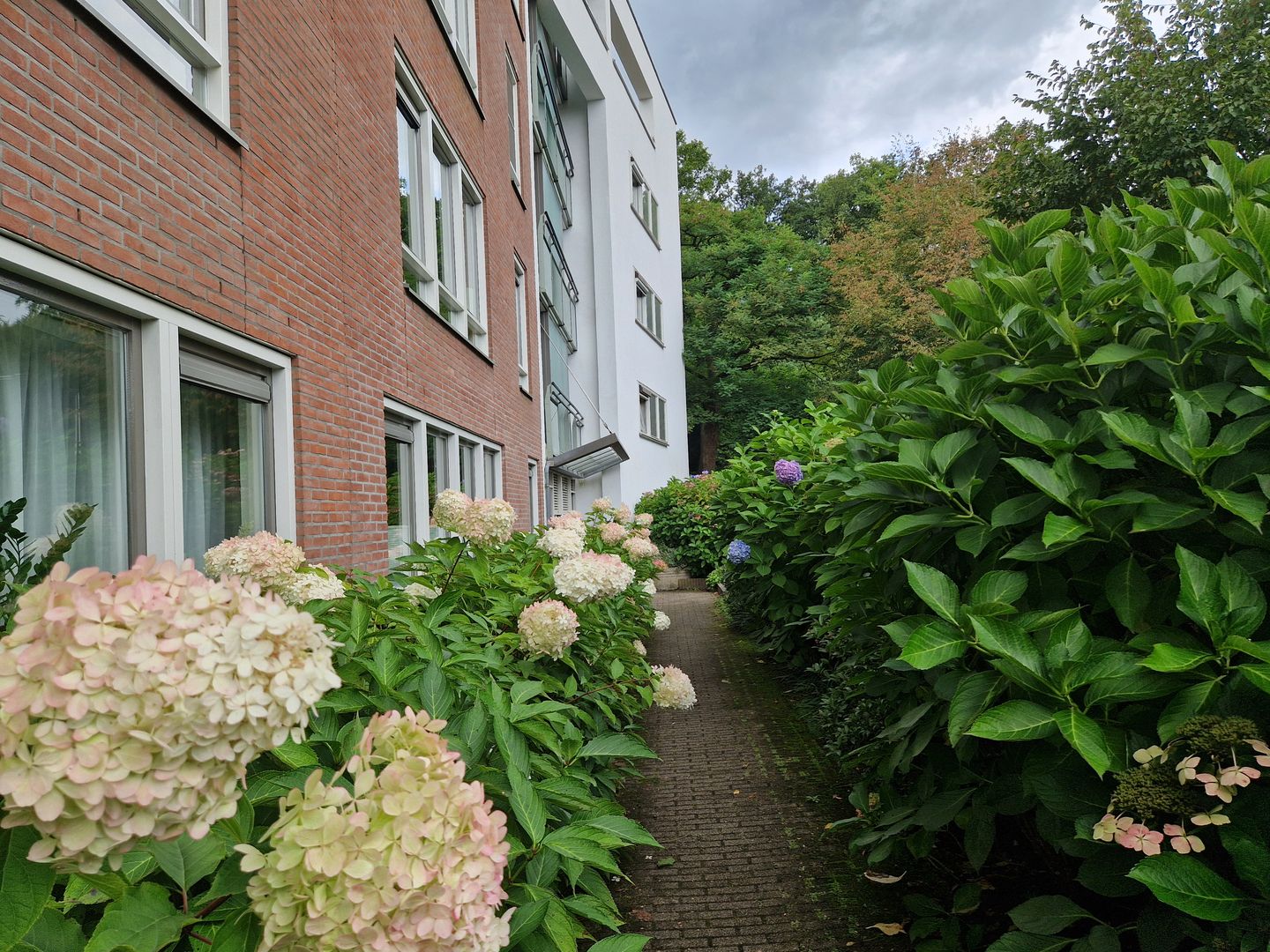 Foto 5 van Lovinklaan 69