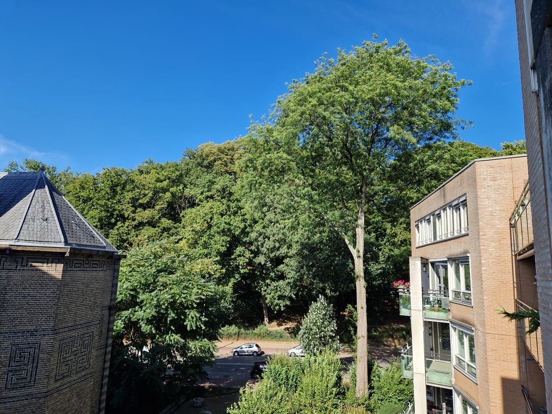 Foto 13 van Lovinklaan 69