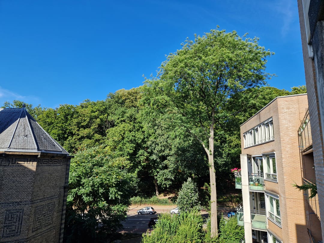 Foto 31 van Lovinklaan 69