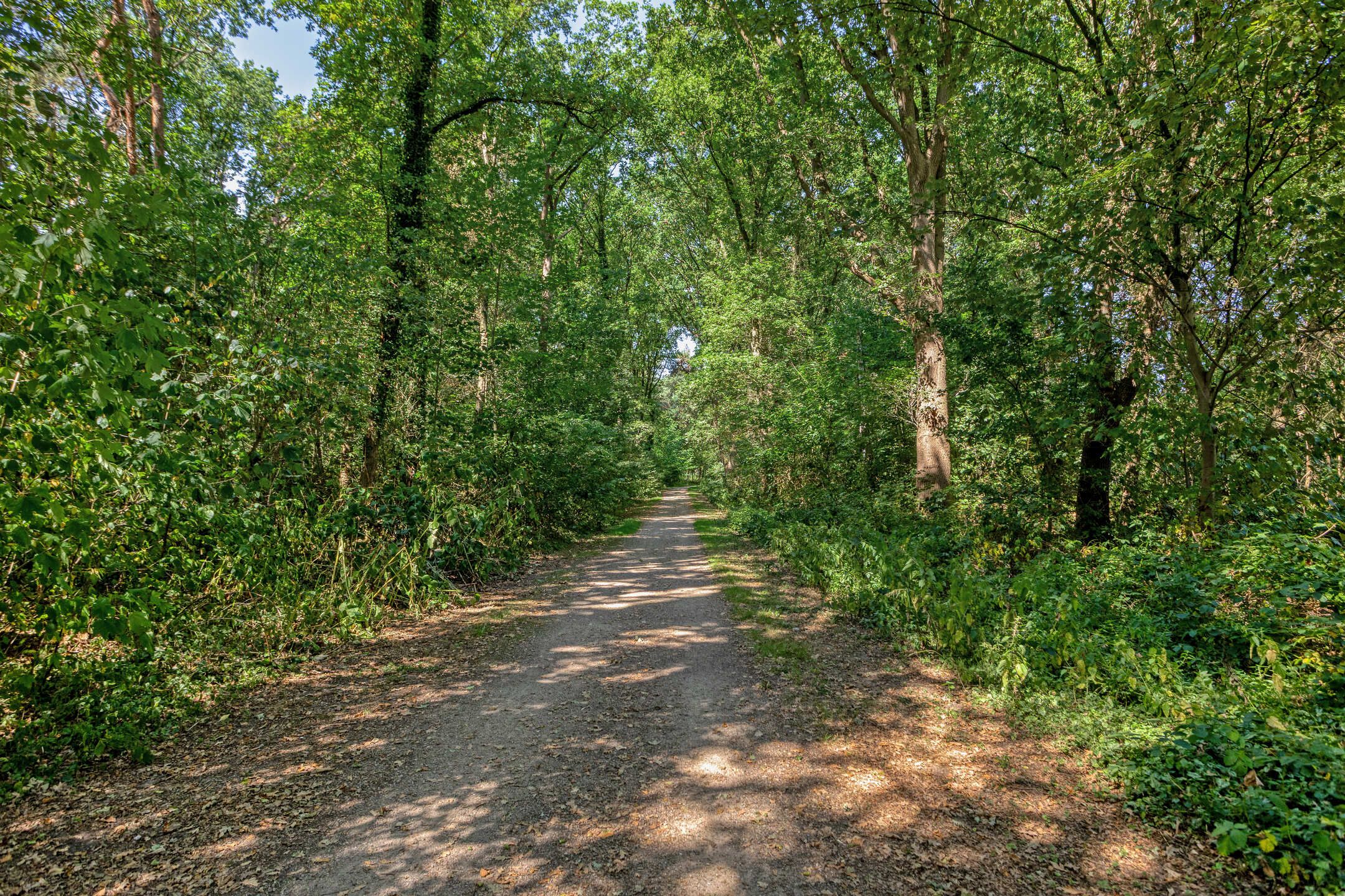 Foto 30 van Bergkwartier 6