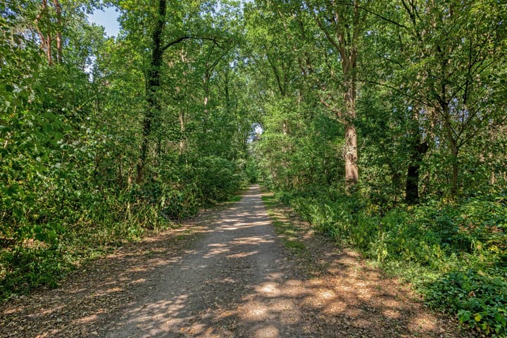 Foto 30 van Bergkwartier 6