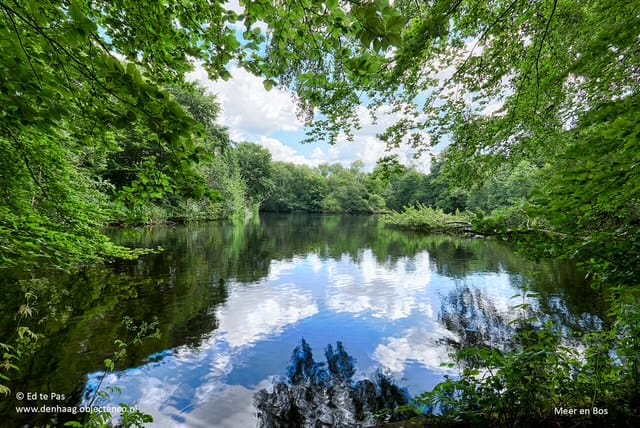 Foto 49 van Catharina van Rennesstraat 10