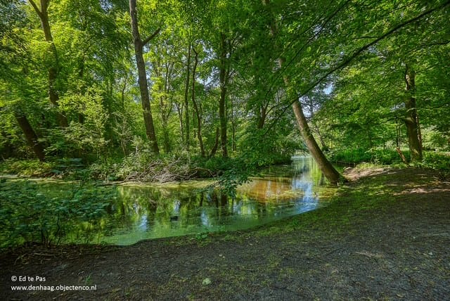 Foto 50 van Catharina van Rennesstraat 10