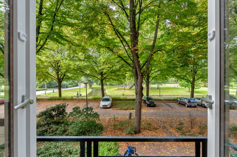 Vroesenlaan thumbnail