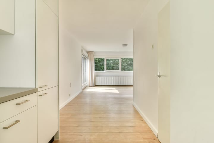 Foto 11 van Tholenseweg 68