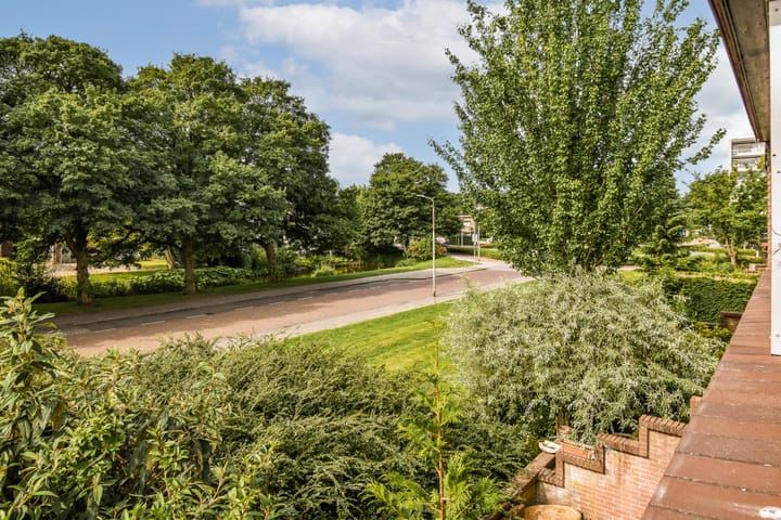 Foto 14 van Tholenseweg 68