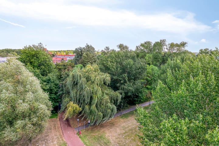 Foto 41 van Hofdael 212