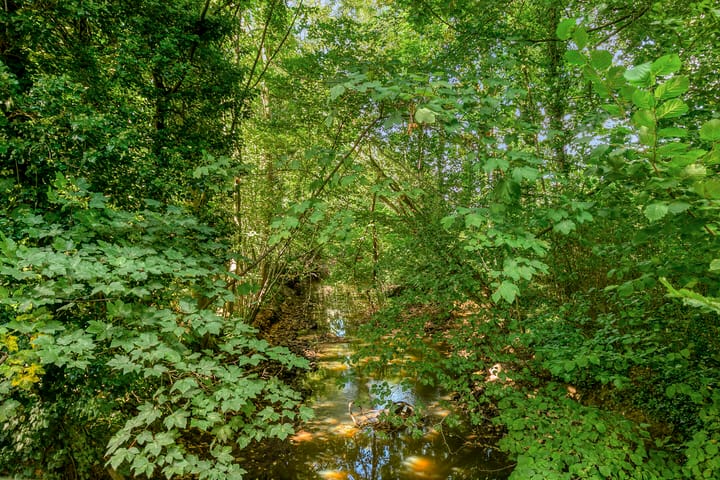 Foto 49 van Hofdael 212