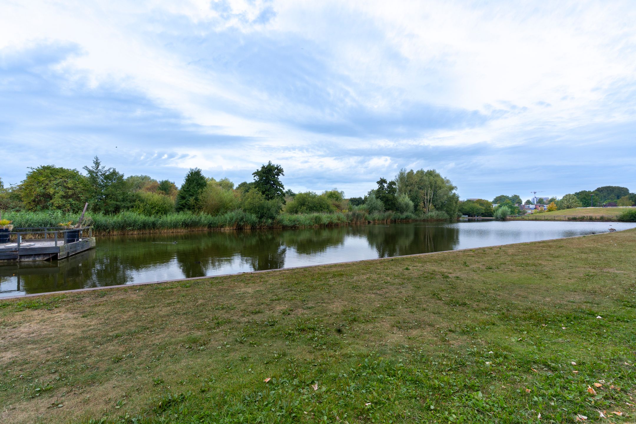 Foto 33 van Obrechtstraat 45