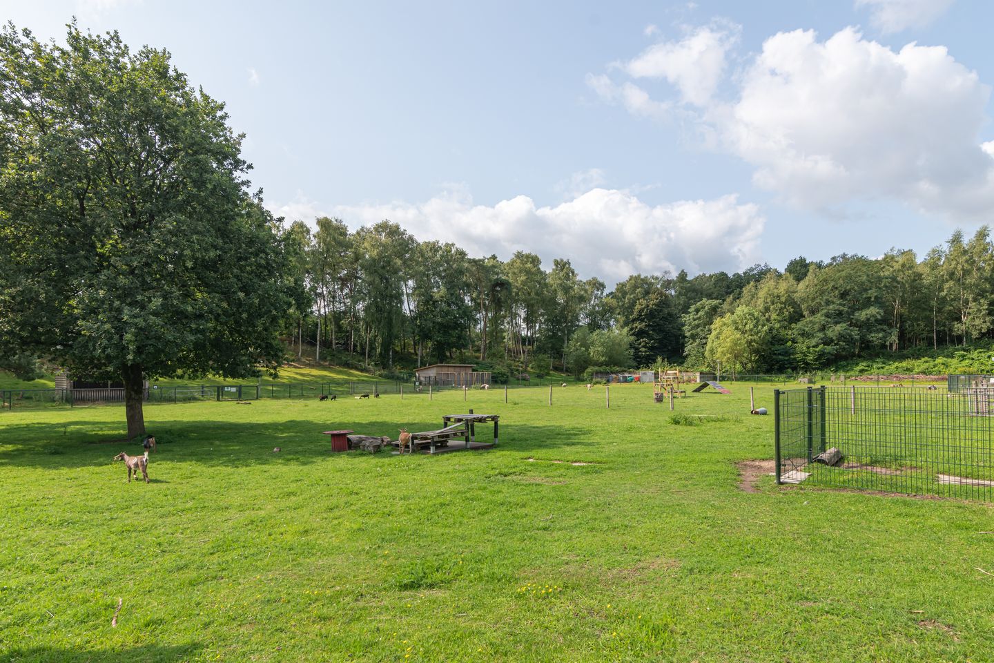 Foto 29 van Mercuriushof 2