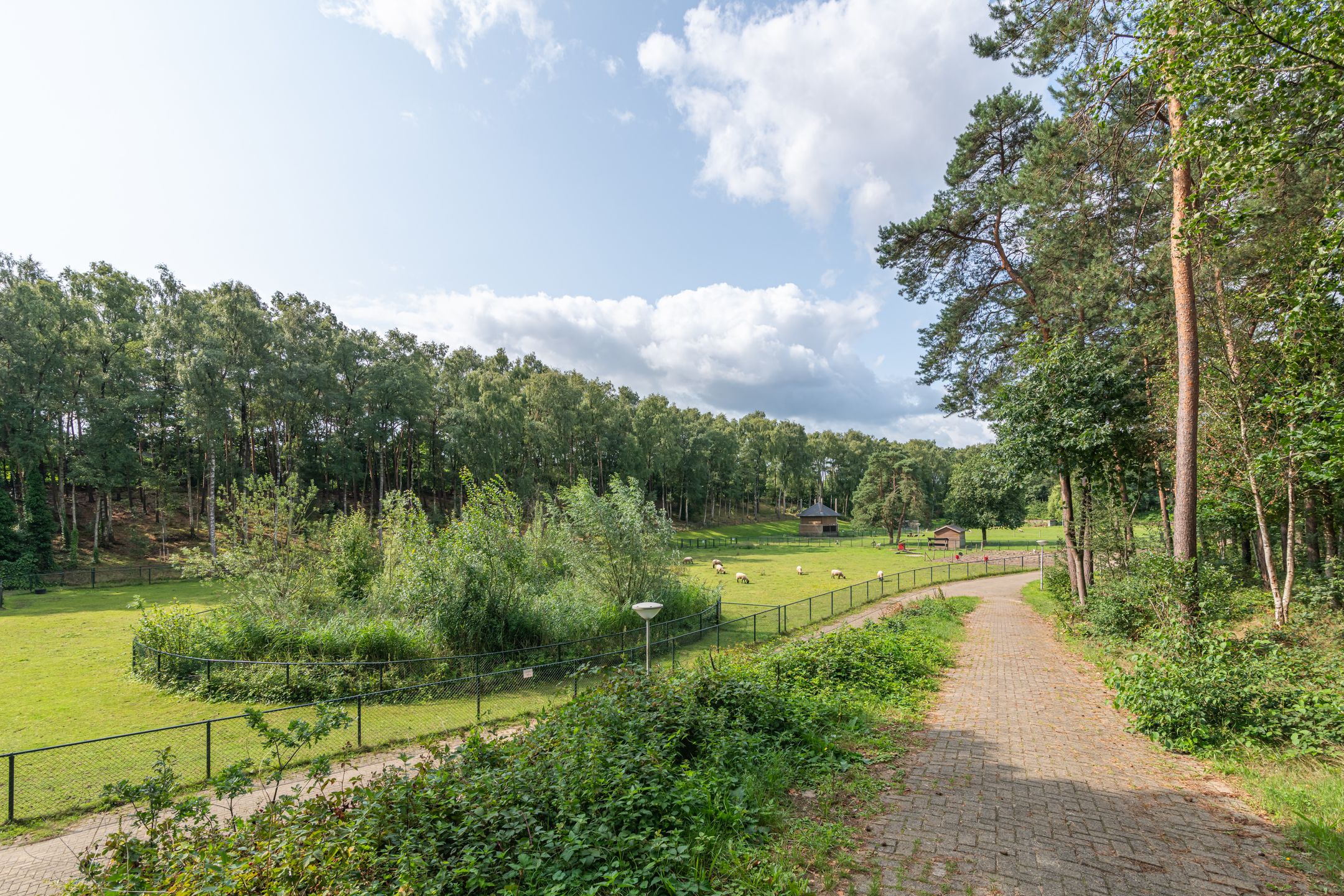 Foto 30 van Mercuriushof 2