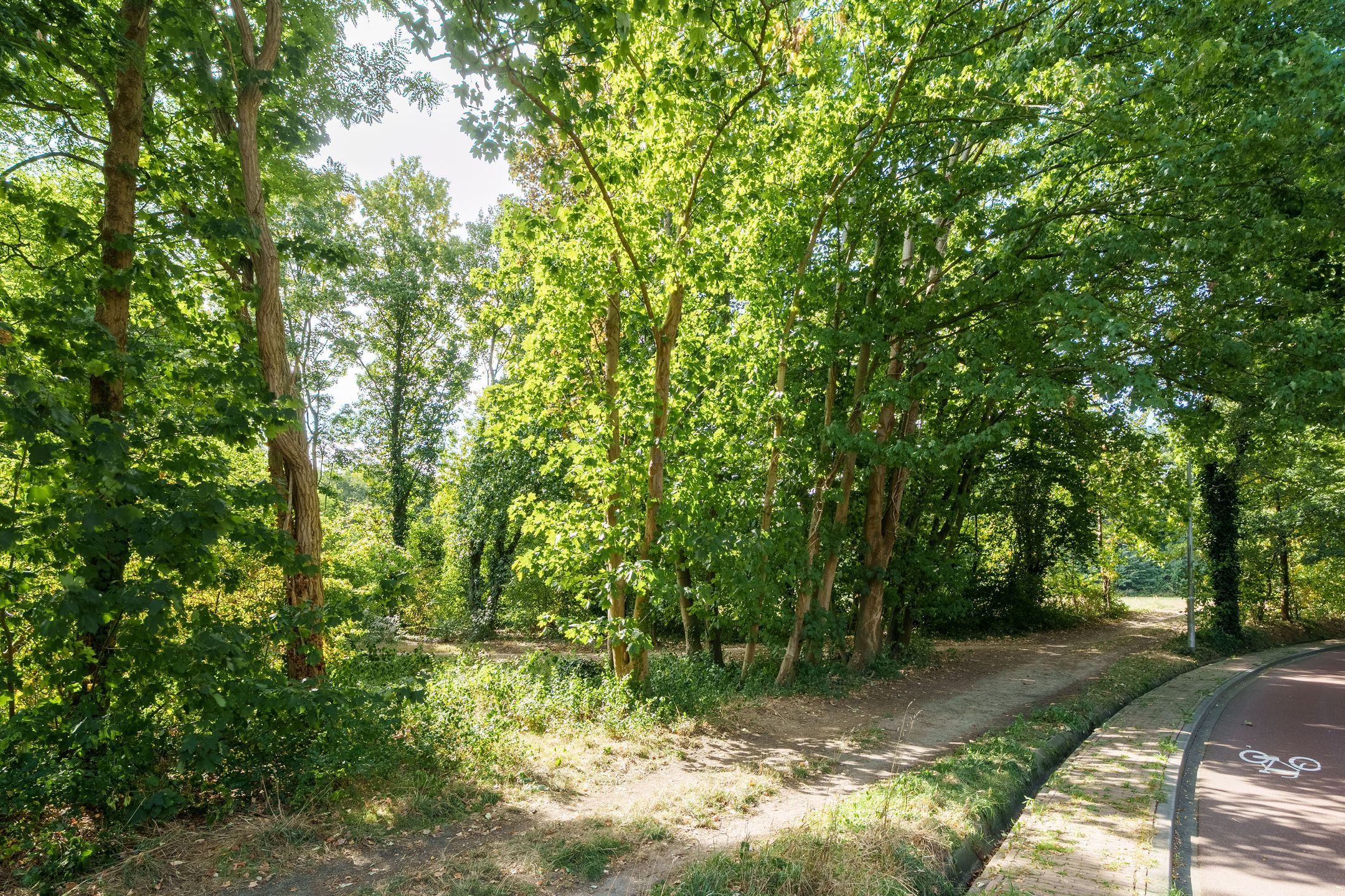 Foto 36 van Diedenweg 5