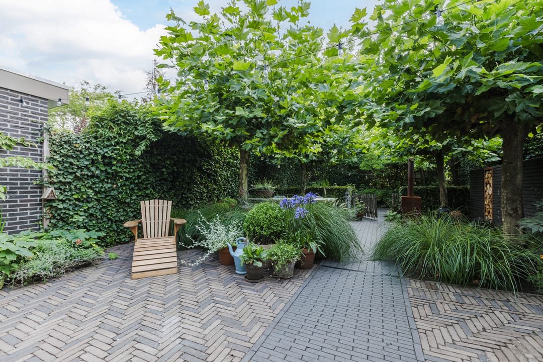 Foto 2 van Van Hamallaan 13