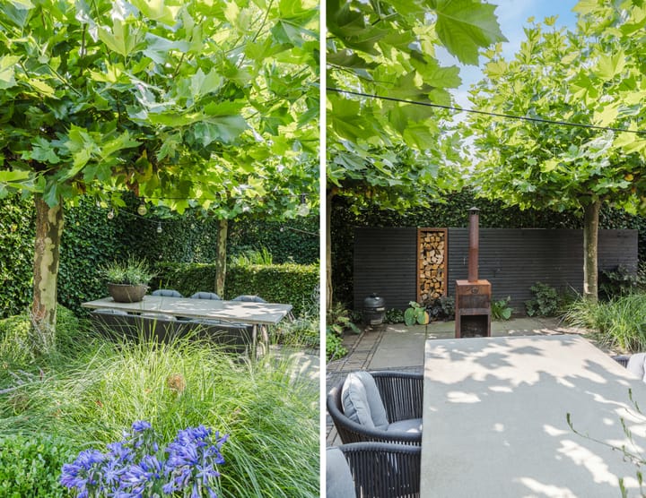 Foto 43 van Van Hamallaan 13