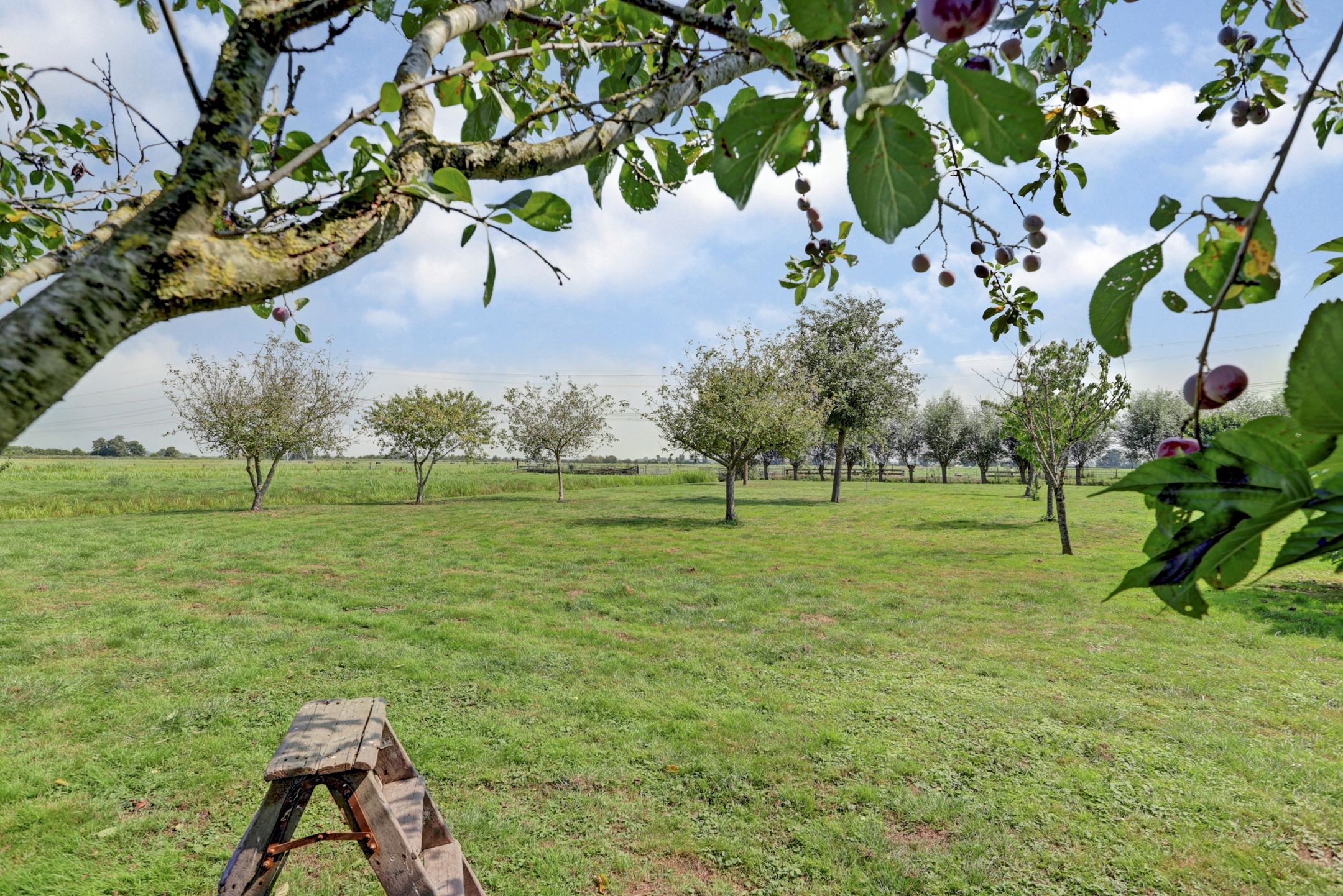 Foto 36 van Achterbroek 10-A