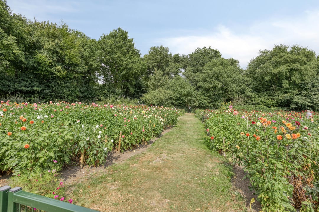 Photo 67 of Bonairelaan 72