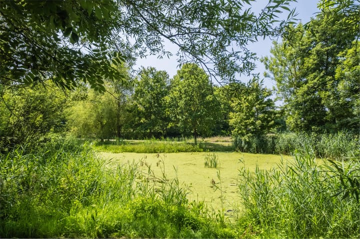 Photo 40 of Heuvelrijt 17