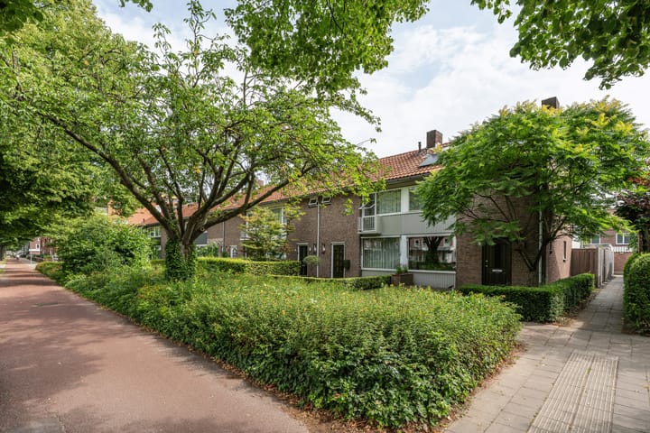 Photo 50 of Burgemeester van Hooffln 54