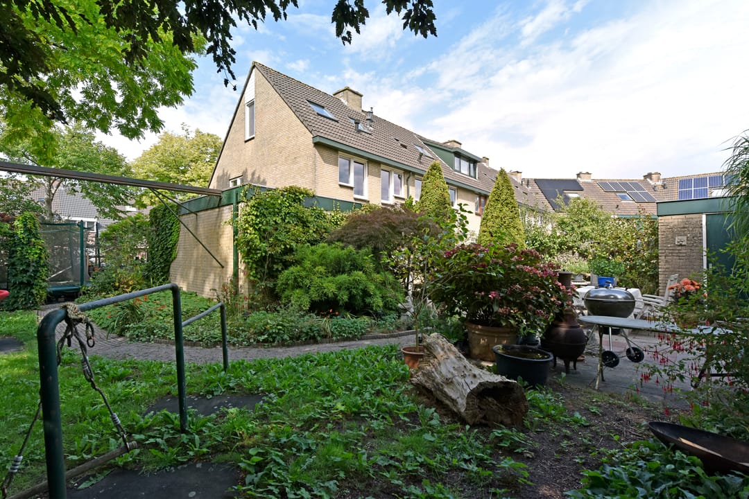 Photo 2 of De Halve Roe 55