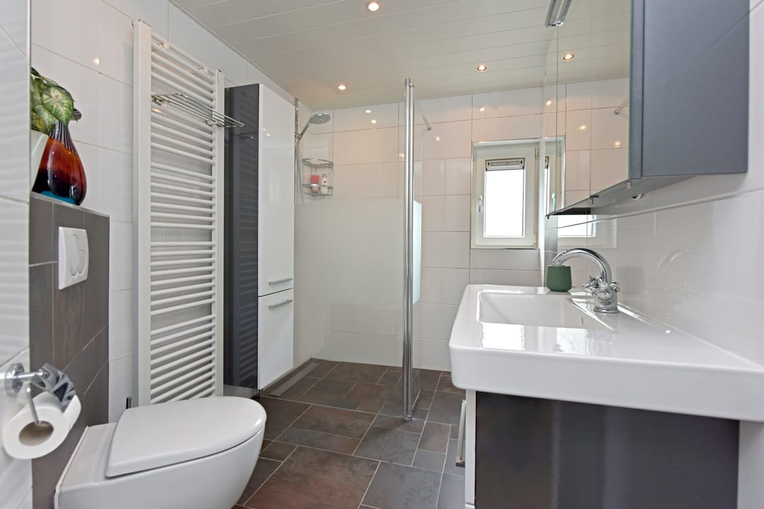 Photo 16 of De Halve Roe 55