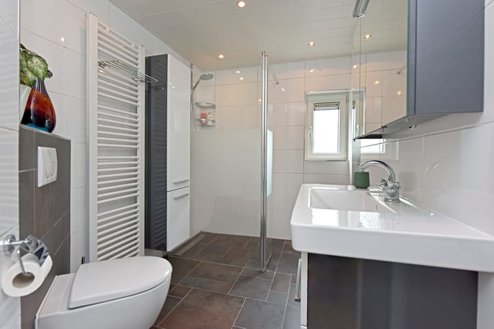 Photo 16 of De Halve Roe 55