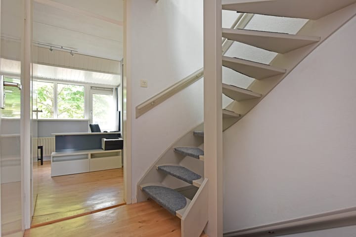 Photo 21 of De Halve Roe 55