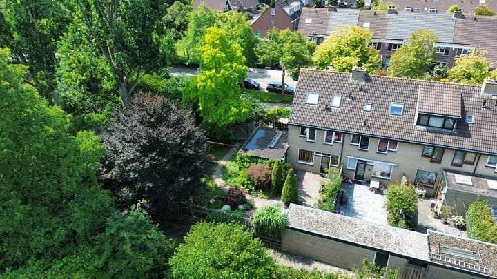 Photo 30 of De Halve Roe 55