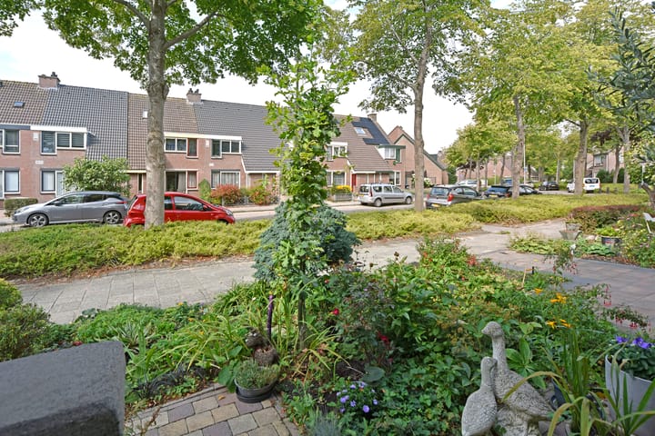 Photo 31 of De Halve Roe 55