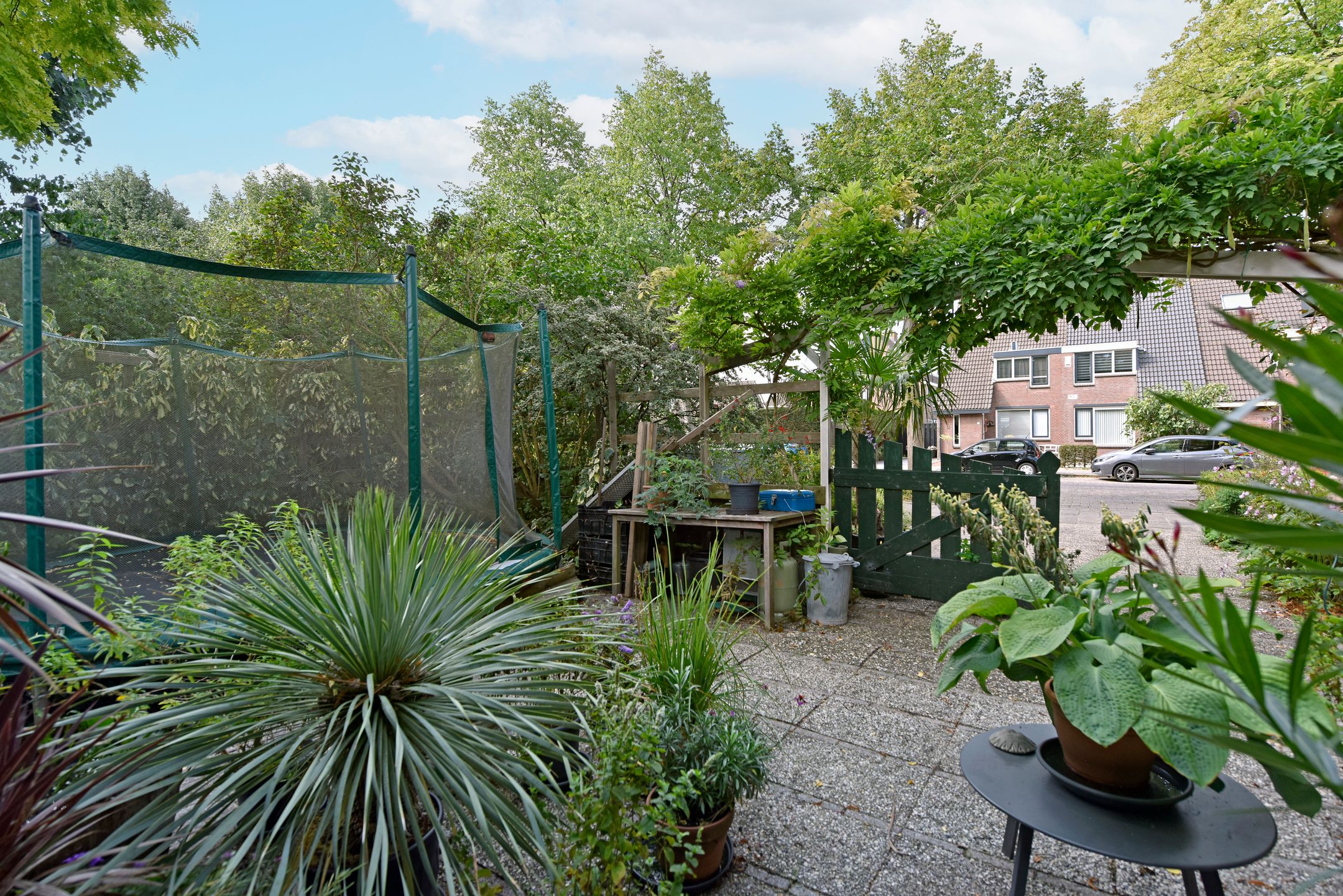 Photo 33 of De Halve Roe 55