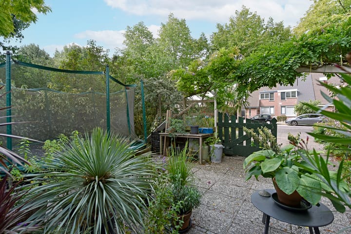 Photo 33 of De Halve Roe 55