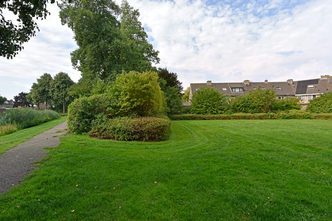 Photo 41 of De Halve Roe 55