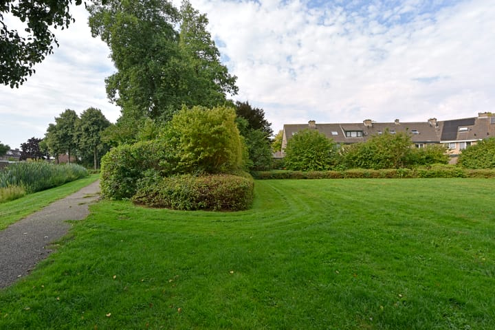 Photo 41 of De Halve Roe 55