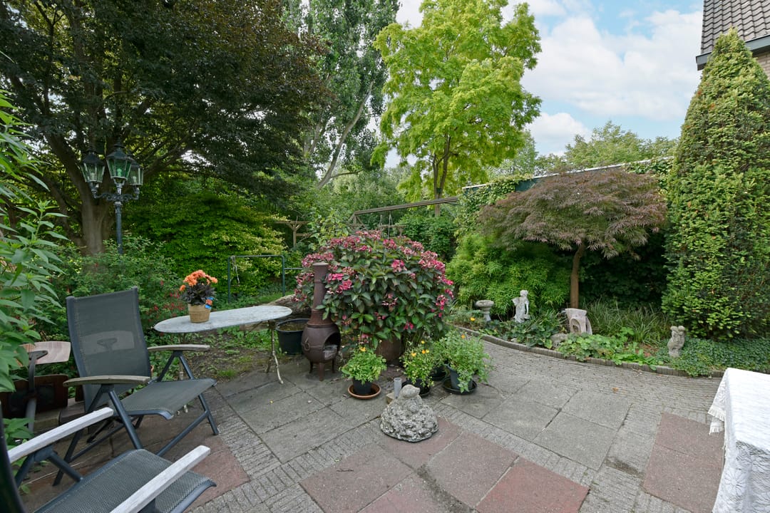 Photo 37 of De Halve Roe 55