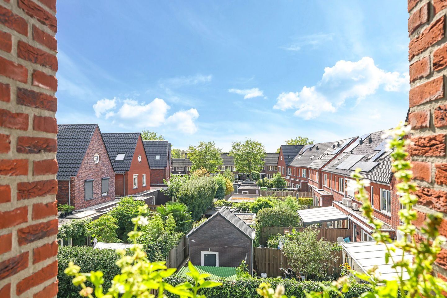 Foto 50 van Grote Breeken 75