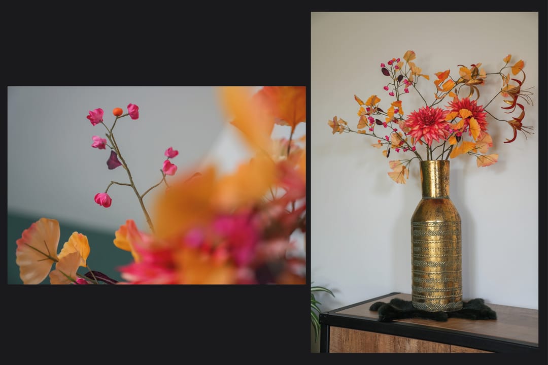 Photo 8 of Haselcamp 33