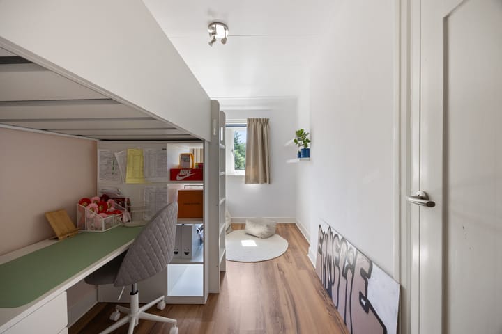 Foto 29 van Pontanuslaan 78