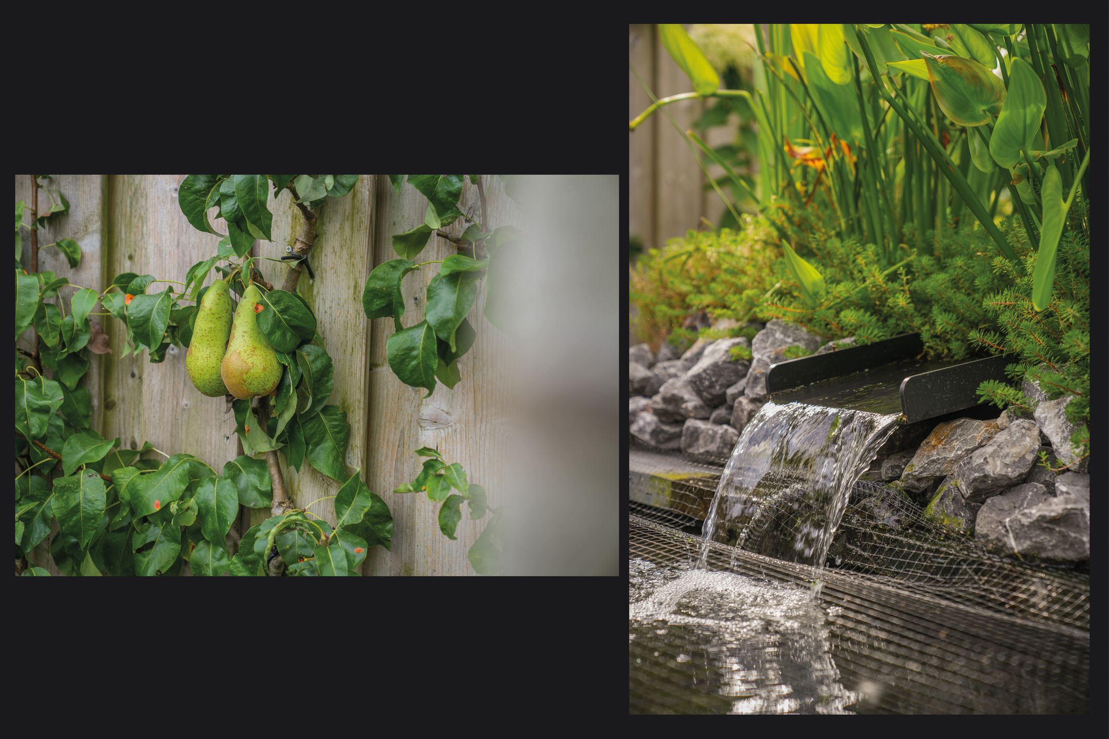 Photo 33 of Haselcamp 33