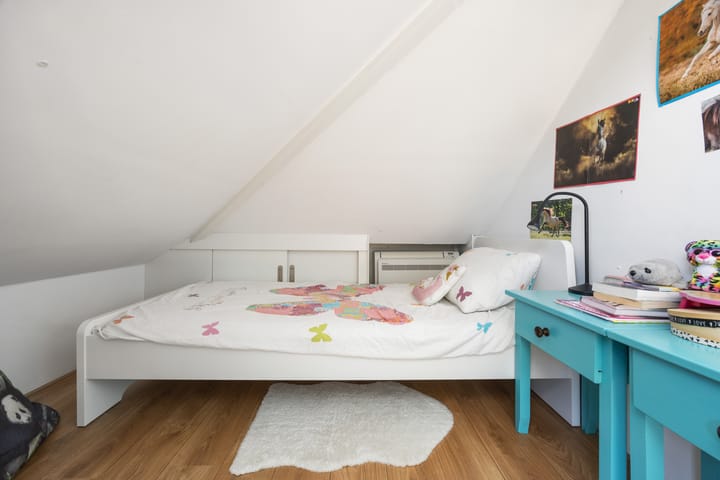 Foto 39 van Pontanuslaan 78