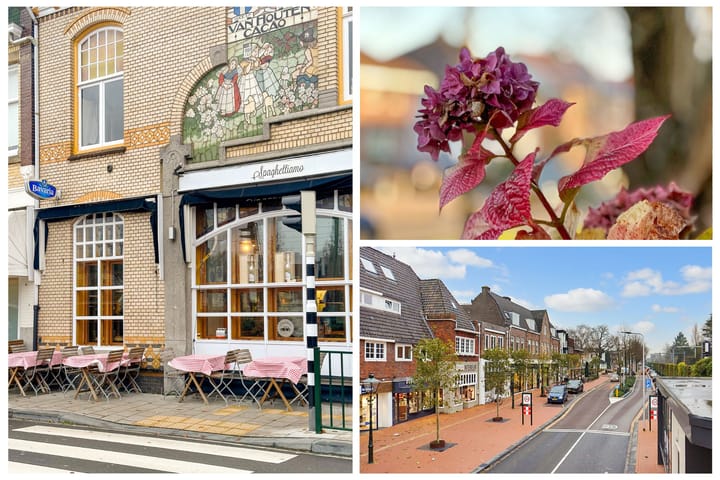 Foto 29 van Vlietlaan 54