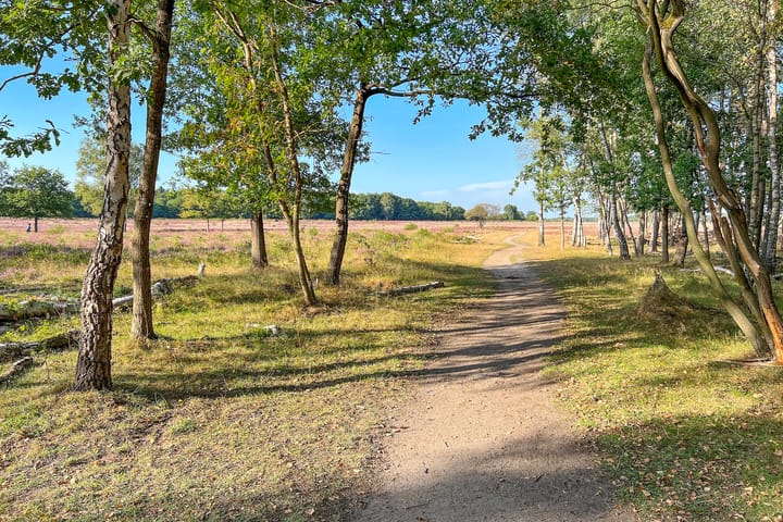 Photo 45 of Outshoornlaan 18