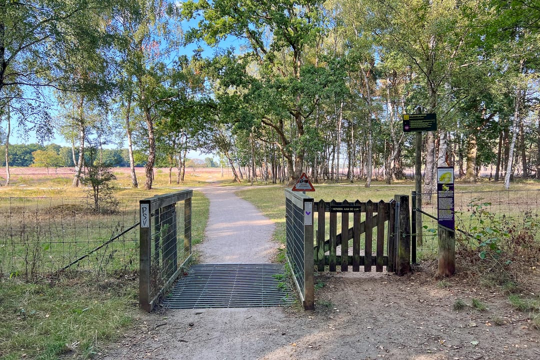 Foto 46 van Outshoornlaan 18